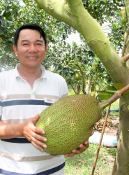 Nguyễn Đ&igrave;nh Th&igrave;n